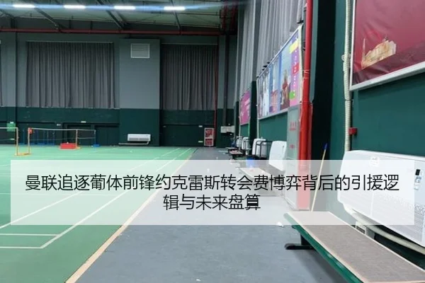 曼联追逐葡体前锋约克雷斯转会费博弈背后的引援逻辑与未来盘算